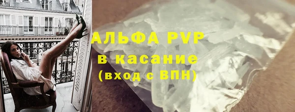индика Протвино