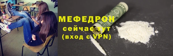 индика Протвино