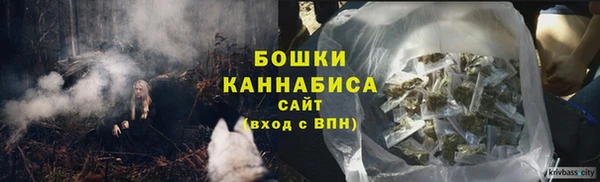 индика Протвино