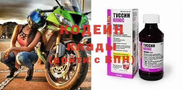 индика Протвино