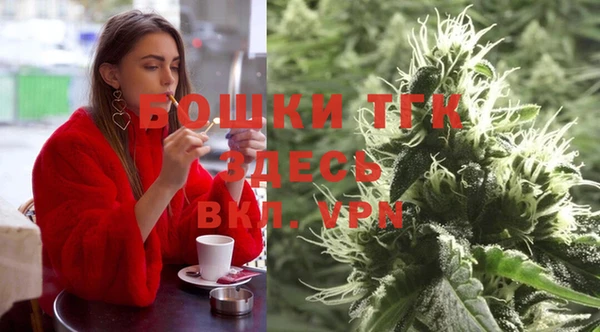 индика Протвино