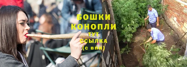 стаф Приозерск