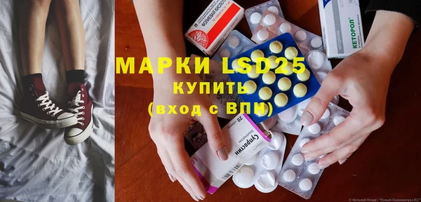 индика Протвино