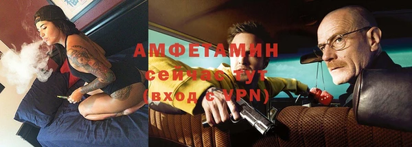 индика Протвино