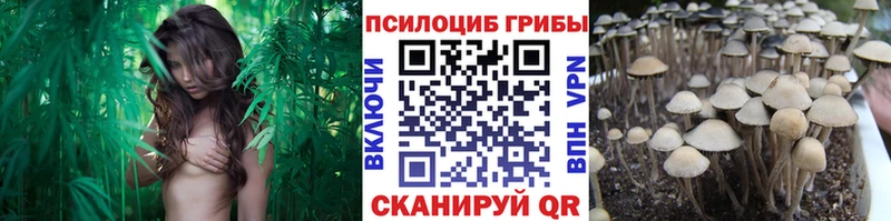 Псилоцибиновые грибы мицелий  Армянск 